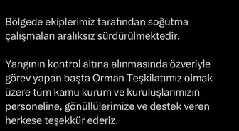 Çanakkale’de tarım arazisinde yangın