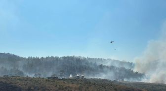 Fethiye'deki orman yangınının enerjisi düşürüldü