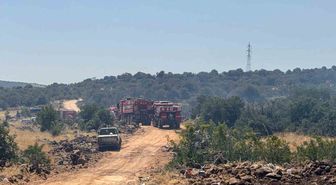 Gaziantep’te orman yangını: Ekiplerin müdahalesi sürüyor