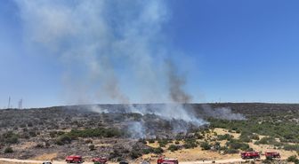 Gaziantep'te ormanlık alanda çıkan yangına müdahale ediliyor