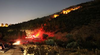 İzmir'de orman yangını