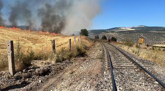 Karabük'te çıkan anız yangını söndürüldü