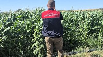 Kırklareli’de tarım arazileri tek tek kontrol ediliyor