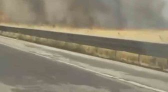 Mardin’de itfaiye aracının çarptığı itfaiye eri hayatını kaybetti