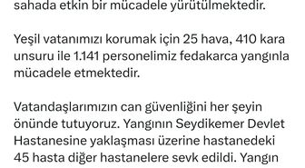 Muğla’da orman yangını