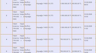Muğla Köyceğiz'de 11 yaban keçisi için av ihalesi