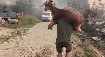 Muğla Seydikemer'deki orman yangınına havadan müdahale yeniden başladı
