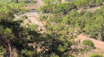 Osmaniye Dervişiye köylüleri: Mahkeme kararına rağmen ormanda katliam yapıyorlar