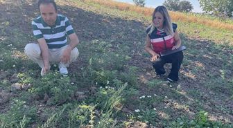 Simav’da TAKE Projesi kapsamındaki nohut üretimi yerinde incelendi