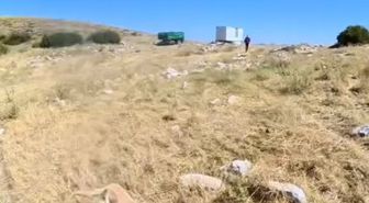 Aladağlar’da BASE Jump sporcusuna çoban köpekleri saldırdı