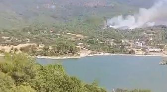 Aydın'daki orman yangınına havadan müdahale yeniden başladı