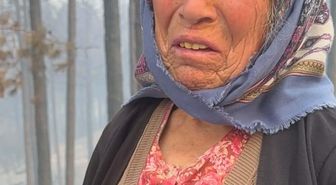 Aydın'daki orman yangınına havadan müdahale yeniden başladı