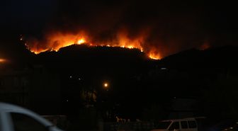 Aydın'ın Çine ilçesindeki orman yangını sürüyor