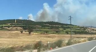 Balıkesir Susurluk’ta orman yangını