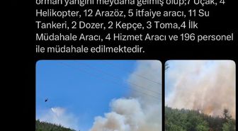 Balıkesir Susurluk'ta orman yangını
