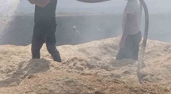 Bingöl’de arazi yangını: 2 bin dönüm arazi zarar gördü