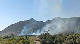 Dalaman’da tarım alanındaki yangın kısa sürede söndürüldü