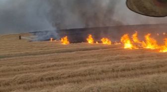 Diyarbakır’da 5 bin dönüm arazi alevlere teslim oldu