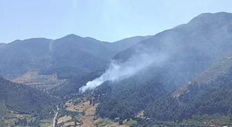 Kahramanmaraş’ta peş peşe orman yangını korkuttu