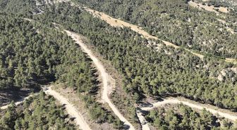 Orman köylülerine endüstriyel odundan 1 milyar TL’lik katkı