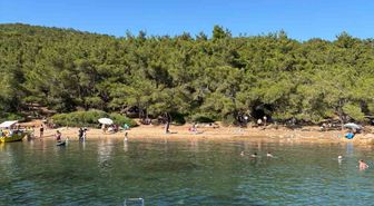Ayvalık’ta ormanlara giriş yasak ama denetim yetersiz