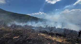 Erdek'te zeytinlik ve makilik alanda yangın- Yeniden