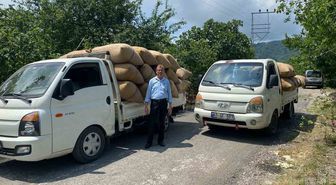 Fındık tüccarından üreticiye kritik uyarı: 'Dalından toplamayın, yere dökülmesini bekleyin'