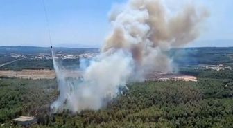 İzmir Buca’da orman yangını çıktı