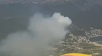 Marmara Adası’nda orman yangını
