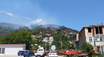 Marmara Adası’nda orman yangını