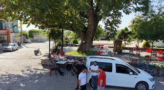 Osmaniye’de 260 yıllık çınar yaz sıcağında doğal klima oluyor