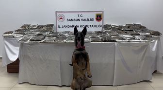 Samsun’da tıra gizlenmiş 132 kilo toz esrar ele geçirildi