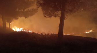 Siirt’te mezarlıkta çıkan yangın itfaiye ekiplerince söndürüldü