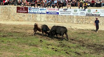 Yusufeli'de Salikvan Yayla Festivali yapıldı