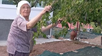 85 yaşındaki çift, geleneksel yöntemlerle dut pekmezi üretimini sürdürüyor