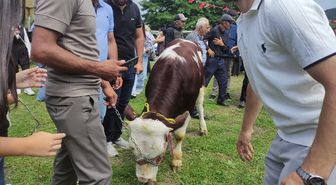 Ardahan'da '2. Kültür ve Sanat Festivali' düzenlendi