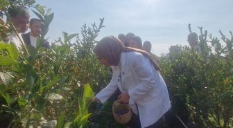 Bakan Göktaş açıkladı, şehit aileleri ve gazilere yönelik haklar genişliyor