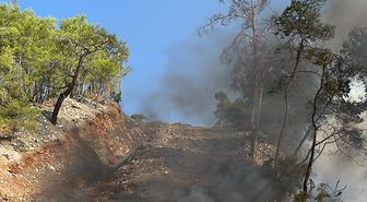 Fethiye'de kamyonetten ormana sıçrayan yangın söndürüldü