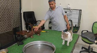 Milyonluk güvercinleri ’azılı düşmanları’ koruyor