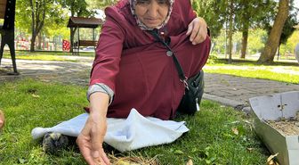 Kayseri'de havalandırma boşluğunda bulunan 5 yavru güvercin korumaya alındı
