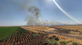 Diyarbakır'da anız yangını: 500 dekar alan zarar gördü