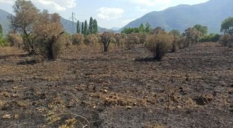 Fethiye'de yangın hasar tespiti sürüyor