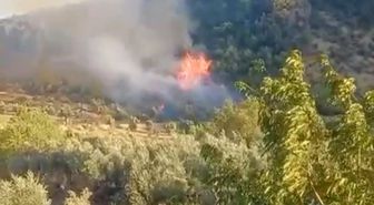 Gaziantep’te çıkan orman yangını havadan ve karadan müdahaleyle söndürüldü