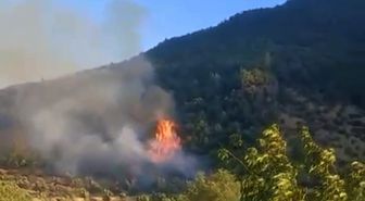 İslahiye'de Orman Yangını 1 Saatte Kontrol Altına Alındı