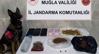 Muğla'da kaçakçılık operasyonu: 24 operasyon, 36 şüpheli