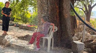 Çermik'te Sıcaktan Bunalan Çocuk Ağaçtan Akan Suyla Serinledi