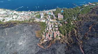 Muğla'nın Yanan Ormanları 5 Yılda Yeniden Yeşerdi