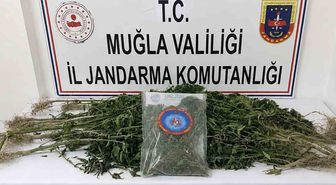 Muğla'da Uyuşturucu Operasyonları: 33 Tutuklama