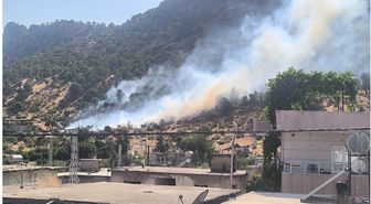 Siirt'teki orman yangını söndürüldü