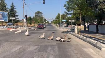 Kazların Cadde Yürüyüşü Trafiği Gerdi